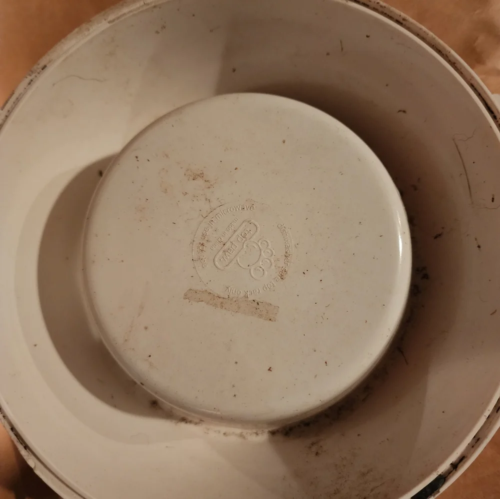 Dog bowl